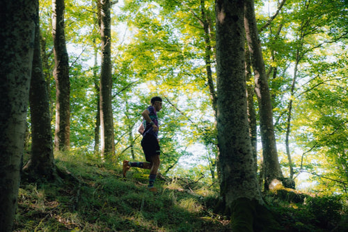 Blueprint Trail Corto 17–20 km (700–900 D+) – 12 settimane (PDF)