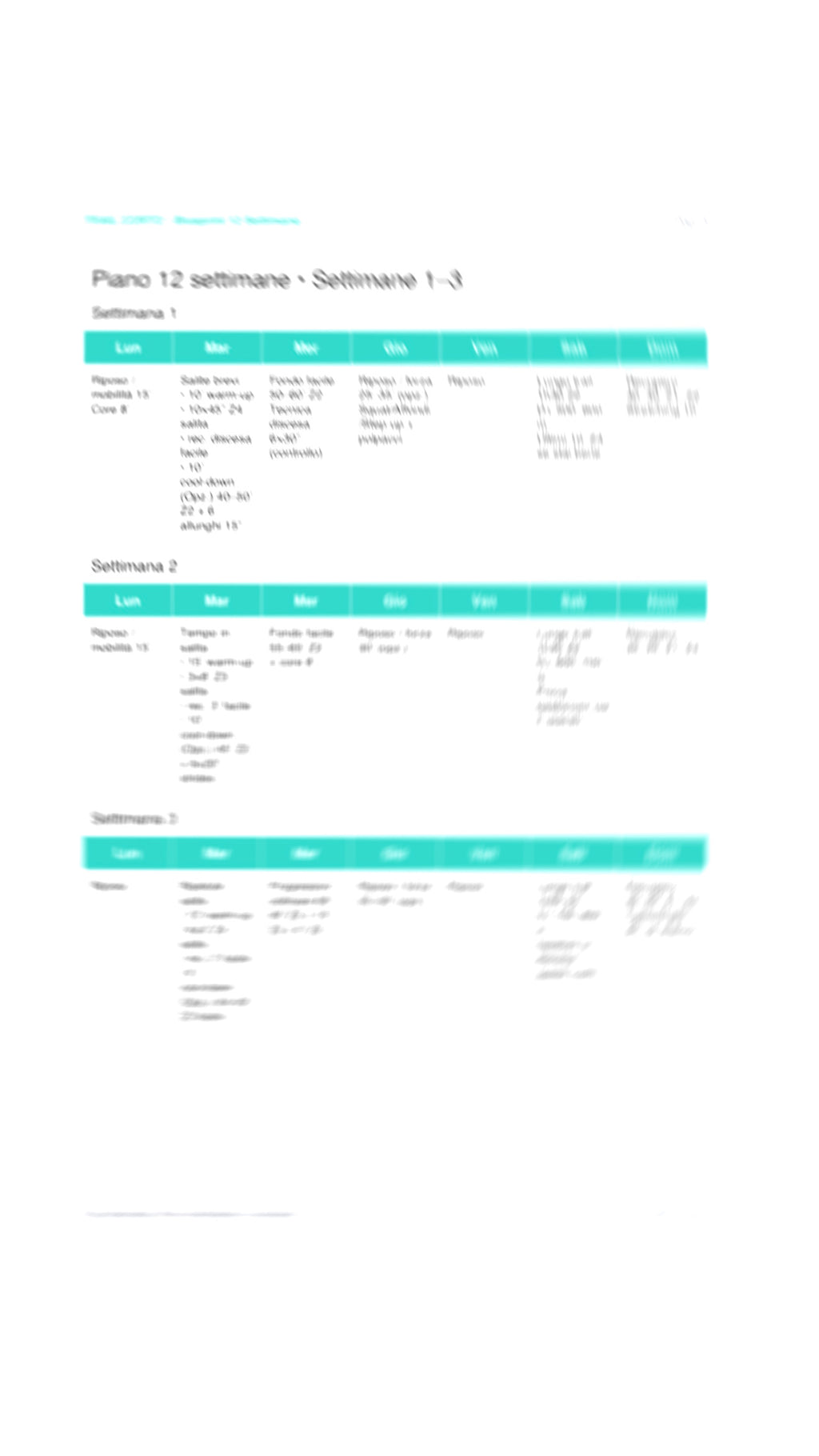 Blueprint Trail Corto 17–20 km (700–900 D+) – 12 settimane (PDF)