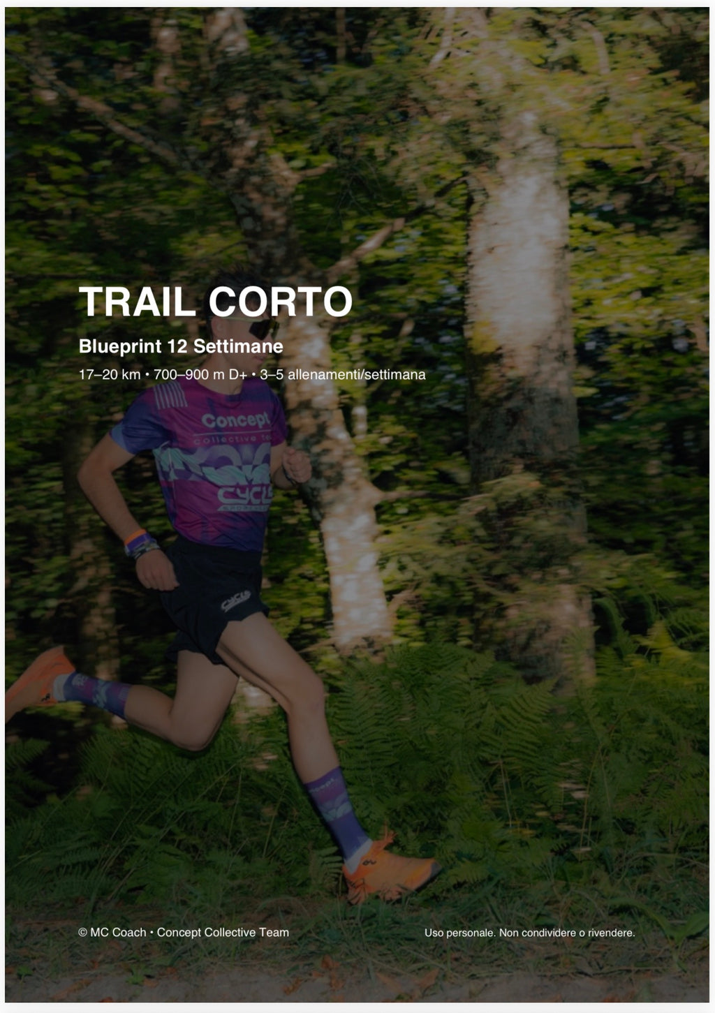 Blueprint Trail Corto 17–20 km (700–900 D+) – 12 settimane (PDF)